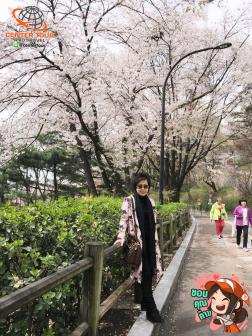 ทัวร์เกาหลี 