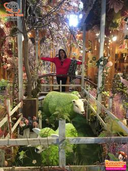 ทัวร์ญี่ปุ่น 