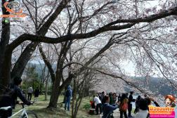 ทัวร์ญี่ปุ่น 