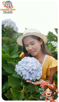 ทัวร์เวียดนาม 