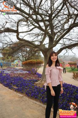 ทัวร์เกาหลี 