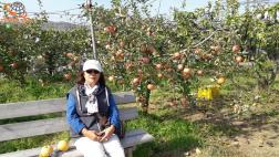 ทัวร์เกาหลี 