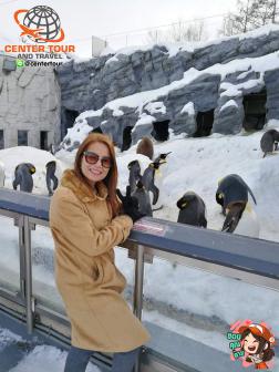 ทัวร์ญี่ปุ่น 