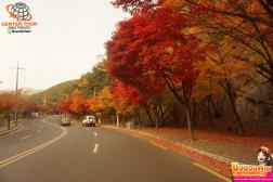 ทัวร์เกาหลี 