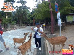 ทัวร์ญี่ปุ่น 