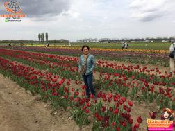 ทัวร์ญี่ปุ่น 