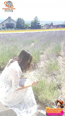 ทัวร์ญี่ปุ่น 