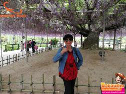 ทัวร์ญี่ปุ่น 