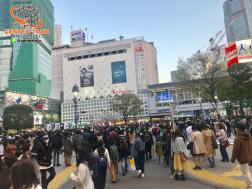 ทัวร์ญี่ปุ่น 