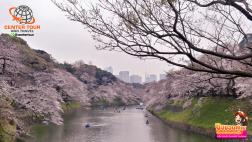 ทัวร์ญี่ปุ่น 