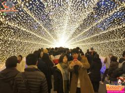 ทัวร์ญี่ปุ่น 