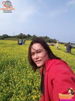 ทัวร์เกาหลี 