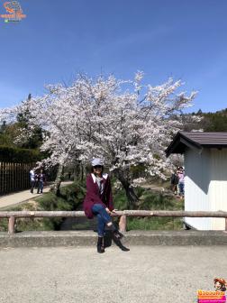 ทัวร์ญี่ปุ่น 