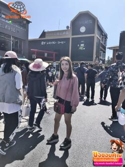 ทัวร์ญี่ปุ่น 