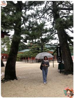 ทัวร์ญี่ปุ่น 