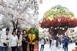 ทัวร์เกาหลี 