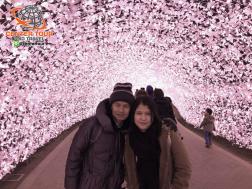 ทัวร์ญี่ปุ่น 