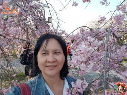 ทัวร์ญี่ปุ่น 