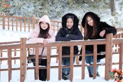 ทัวร์ญี่ปุ่น 