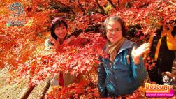 ทัวร์ญี่ปุ่น 