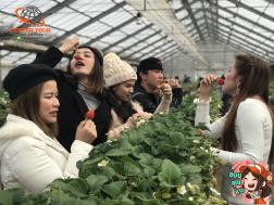 ทัวร์ญี่ปุ่น 