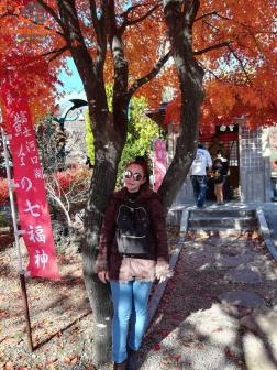 ทัวร์ญี่ปุ่น 