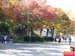 ทัวร์ญี่ปุ่น 