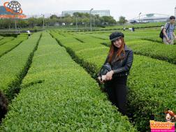 ทัวร์เกาหลี 