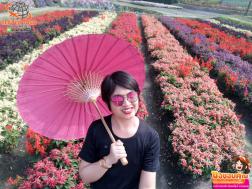 ทัวร์ไต้หวัน 