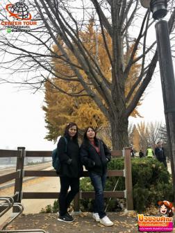 ทัวร์เกาหลี 