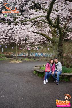 ทัวร์ญี่ปุ่น 