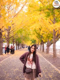 ทัวร์เกาหลี 