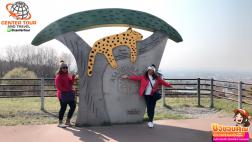 ทัวร์ญี่ปุ่น 