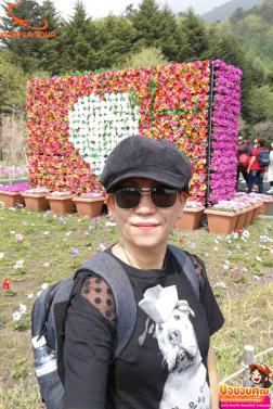 ทัวร์ญี่ปุ่น 