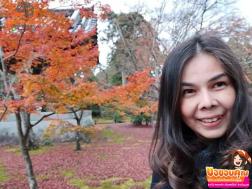 ทัวร์ญี่ปุ่น 