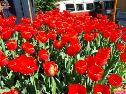 ทัวร์เกาหลี 