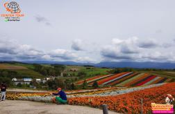 ทัวร์ญี่ปุ่น 