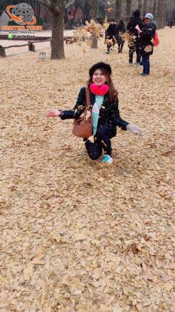 ทัวร์เกาหลี 