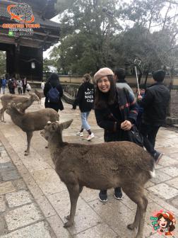 ทัวร์ญี่ปุ่น 