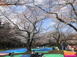 ทัวร์ญี่ปุ่น 