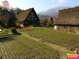 ทัวร์ญี่ปุ่น 