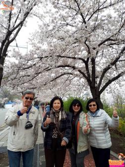 ทัวร์เกาหลี 