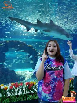 ทัวร์เกาหลี 