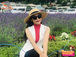 ทัวร์ญี่ปุ่น 