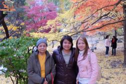 ทัวร์ญี่ปุ่น 