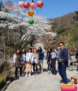 ทัวร์เกาหลี 