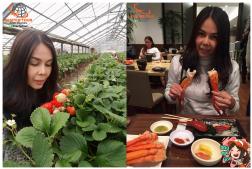 ทัวร์ญี่ปุ่น 