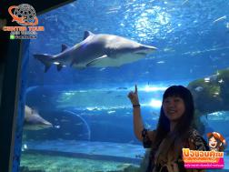 ทัวร์เกาหลี 