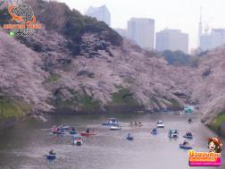 ทัวร์ญี่ปุ่น 