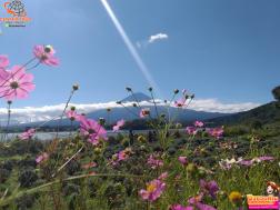 ทัวร์ญี่ปุ่น 